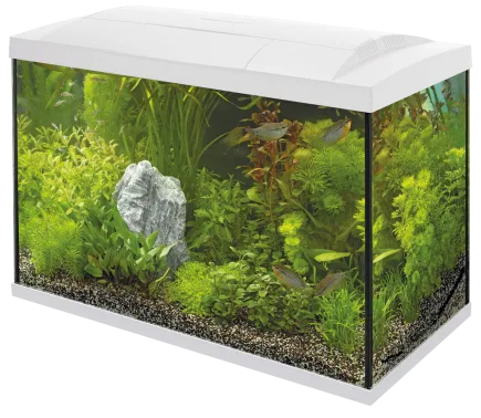 Акваріумний стартовий набір SuperFish Start 70 Aquarium Kit White (A4050287)