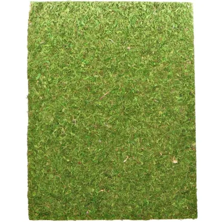 Фон моховий Repti-Zoo Natural Moss Back & Bottom 20x30см 2шт. (NCM3020)