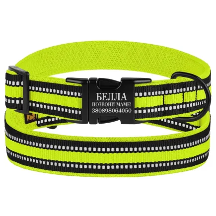 Нашийник для Собак BronzeDog Mesh з Металевою Пряжкою Лимонний XL