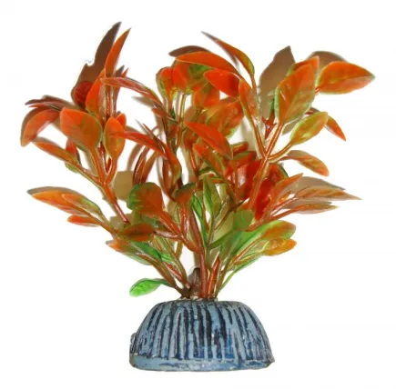 Акваріумна рослина Aquatic Plants, 8 см х 10 шт / уп (0877)
