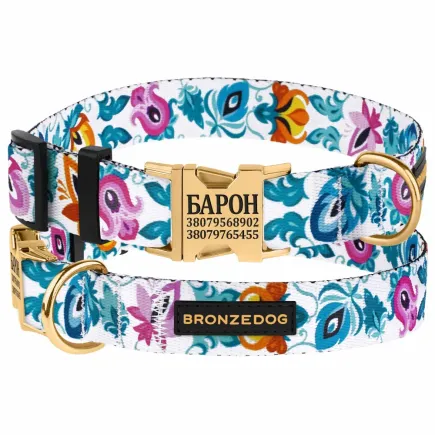 Нашийник для собак Bronzedog Urban Folk нейлоновий з металевою пряжкою золотистого кольору білий XL