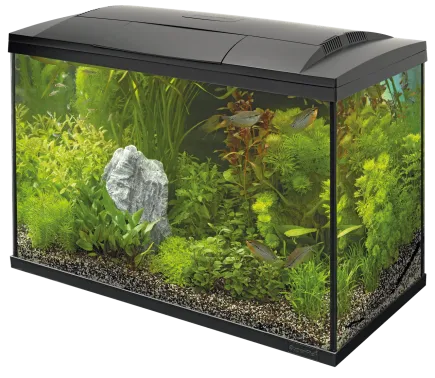 Акваріумний стартовий набір SuperFish Start 150 Aquarium Kit Black (A4050381)