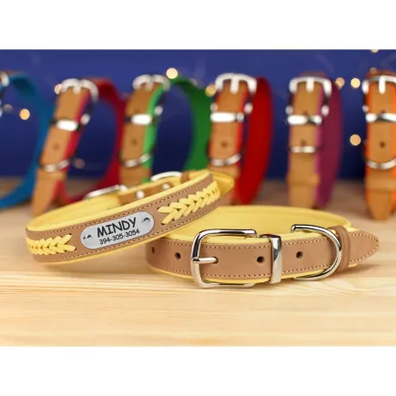 Нашийник для собак шкіряний BronzeDog підклеєний плетений Бежевий хром Жовтий M