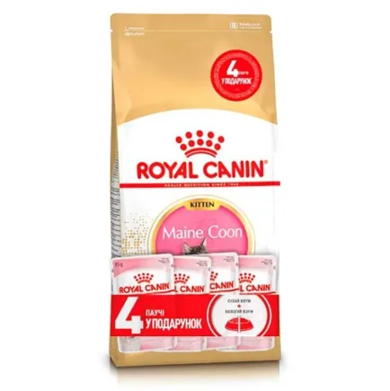 Сухий корм Royal Canin MAINECOON KITTEN для кошенят породи Мейн-кун 2 кг + 4 WET KITTEN LOAF 85г