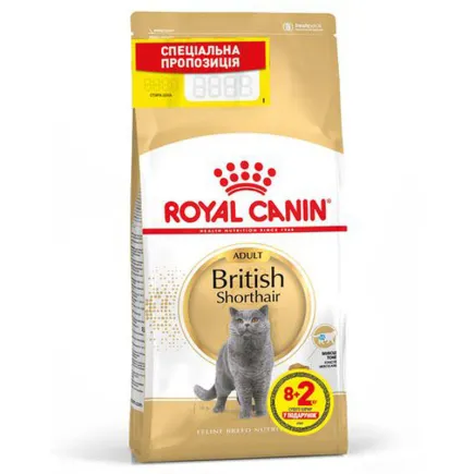 Сухий корм Royal Canin BRIT SHORTHAIR ADULT для котів породи Британська короткошерста кішка 8кг+2кг
