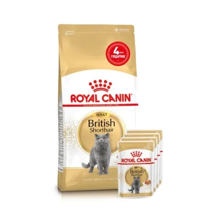 Сухий корм Royal Canin BRITISH SHORTHAIR ADULT для котів породи Британська короткошерста кішка 2 кг + 4 WET British Shorthair Adult Gravy 85г