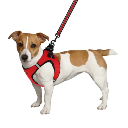 Шлея для собак Bronzedog Mesh Vest 3D сітка червона 2XS — Фото 2