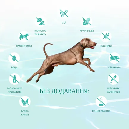 OPTIMEAL™.Б`ЮТІ ФІТНЕС.ЗДОРОВА ВАГА ТА СУГЛОБИ.Беззерн сух корм для д/соб усіх порід,морепродукт, 4 кг — Фото 4