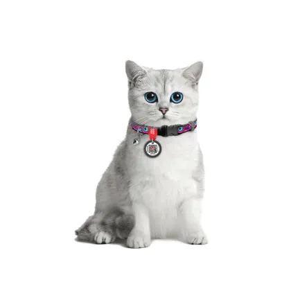 Нашийник для котів нейлоновий WAUDOG Nylon з QR паспортом, малюнок "Око монстра", пластиковий фастекс, XS, Ш 10 мм, Дов 20-30 см — Фото 2