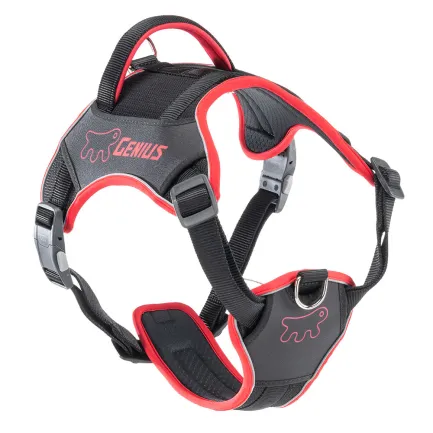 Ferplast GENIUS LARGE RED HARNESS нейлонова шлея для тварин червона