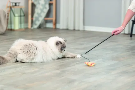 Іграшка Trixie Паличка з плюшевою рибою для котів 46 см — Фото 3