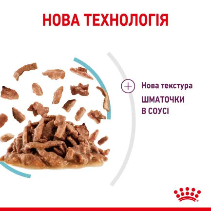 Вологий корм Royal Canin SENSORY FEEL GRAVY для котів всіх порід 85 г — Фото 2