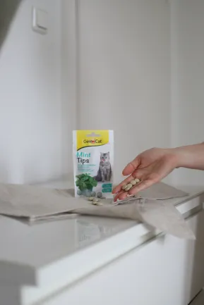 Вітамінізовані ласощі для котів GimCat Cat-Mintips з котячою м'ятою, 40 г — Фото 2