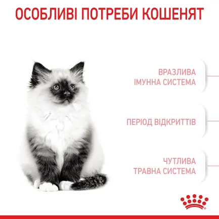 Сухий корм Royal Canin KITTEN для кошенят всіх порід 10 кг — Фото 3