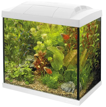 Акваріумний стартовий набір SuperFish Start 50 Aquarium Kit White (A4050279)