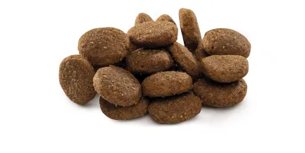 Сухий корм Brit Premium Dog Junior XL для цуценят та юніорів гігантських порід, з куркою, 15 кг — Фото 1