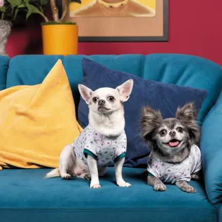 Футболка Pet Fashion Flora для собак бавовна трикотаж білий з квітковим принтом L — Фото 3
