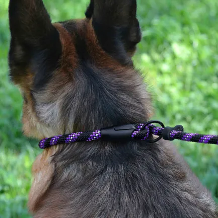 Повідець-Зашморг для Собак Bronzedog Active з Альпіністського Шнура Світловідбиваючий Чорно-Фіолетовий L/XL — Фото 7
