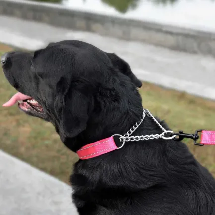 Нашийник для Собак Мартингейл BronzeDog Active нейлоновий зі світловідбиттям Рожевий M — Фото 5