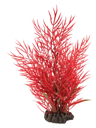 Штучна рослина для акваріума SF ART PLANT 25CM LUDWIGIA (A4070820)