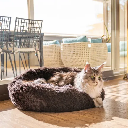 Ferplast CUDDLY 60 CUSHION BROWN Лежак для собак і котів — Фото 2