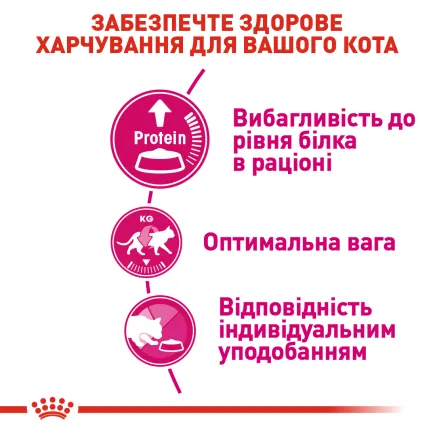 Сухий корм Royal Canin EXIGENT PROTEIN для котів всіх порід 2 кг — Фото 6