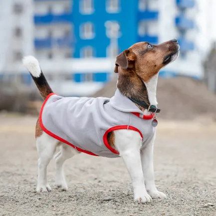 Жилет Pet Fashion «Fleecy» для собак, розмір XS2, сіро-червоний — Фото 3