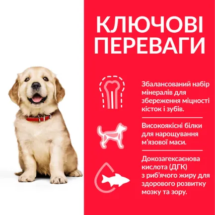 Hill’s Science Plan Puppy Large Breed Сухий корм для цуценят великих порід, з куркою, 14,5 кг — Фото 2