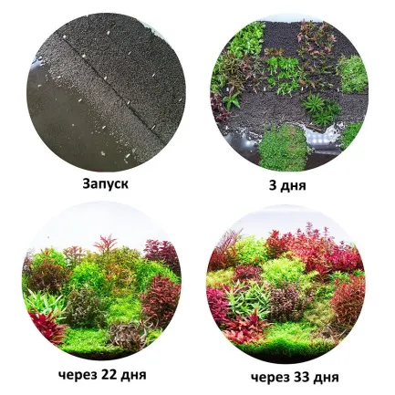 Ґрунт для акваріума Aquario Neo Soil Plant 8л (neo-soil-plant-8) — Фото 3