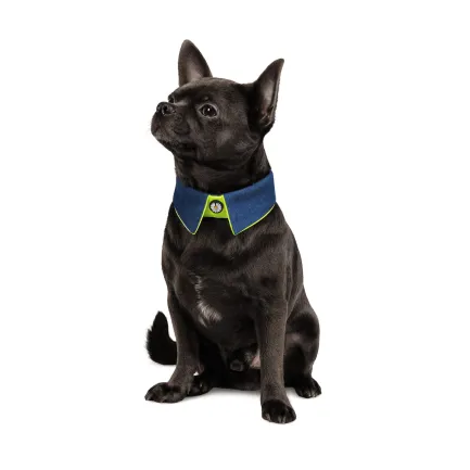 Комірець Pet Fashion «Bright» для собак, розмір XS-XS2, синій — Фото 1