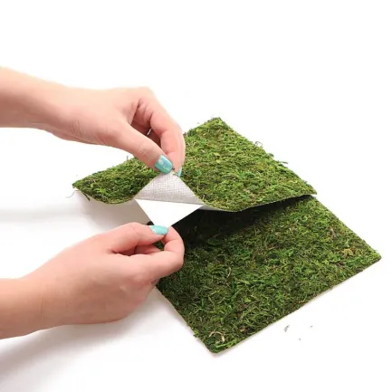 Фон моховий Repti-Zoo Natural Moss Back &amp; Bottom 20x30см 2шт. (NCM3020) — Фото 6