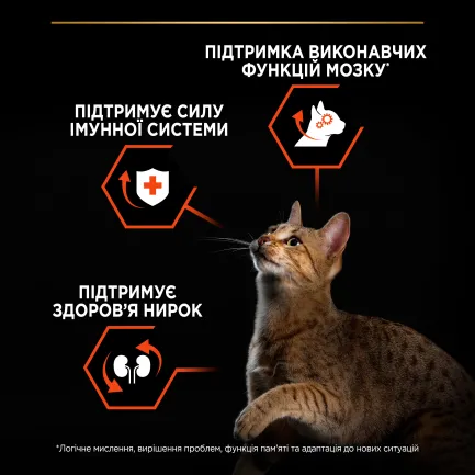 Сухий корм PRO PLAN Sterilised Adult 1+ Vital Functions для дорослих котів після стерилізації з лососем 400 г — Фото 4