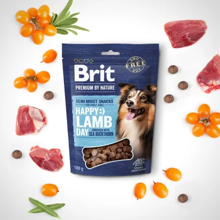 Ласощі для cобак Brit Premium Semi-moist Snacks Lamb with Sea Buckthorn напіввологі з ягням і обліпихою 180 г — Фото 2