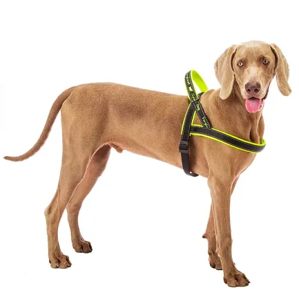 Ferplast SPORT DOG P L YELLOW Шлея, нейлон — Фото 5