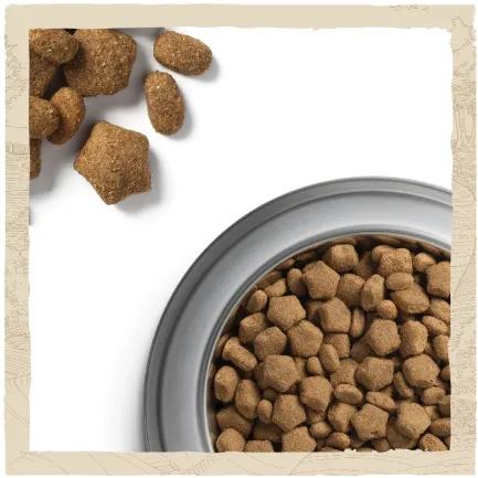 Сухий корм DOG CHOW Active Adult 1+ для дорослих собак з підвищеною активністю з куркою 2,5 кг — Фото 9