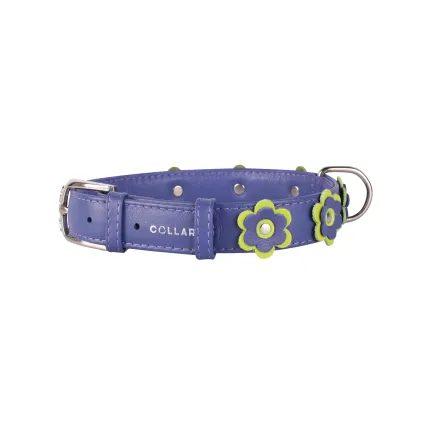 Нашийник "CoLLaR GLAMOUR" з оздобленням "Аплікація" (ширина 35мм, довжина 46-60см) фіолетовий