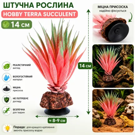Штучна рослина Hobby Terra Succulent 1 14 см (37730) для тераріуму, акватераріуму та палюдаріуму — Фото 1