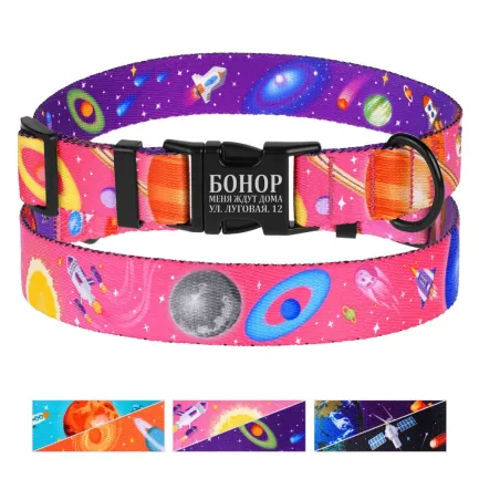 Нашийник для собак BronzeDog Urban Cosmos нейлоновий з металевою пряжкою Рожевий L — Фото 3
