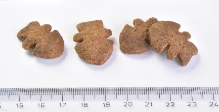 Ласощі для собак Brit Care Dog Crunchy Cracker Insects для свіжості подиху комахи, тунець, м'ята, 200 г — Фото 3