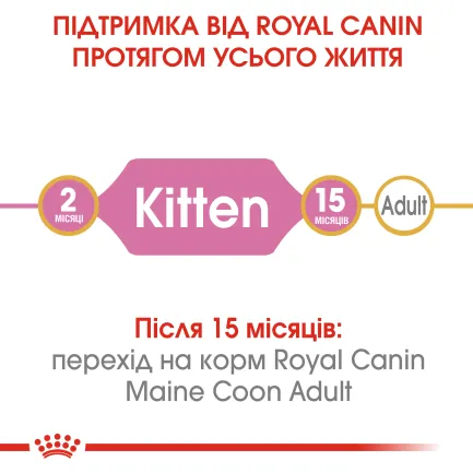 Сухий корм Royal Canin MAINECOON KITTEN для кошенят породи Мейн-кун 0,4 кг — Фото 4