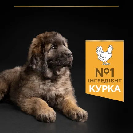 Сухий корм PRO PLAN Large Robust Puppy <2 Healthy Start для цуценят великих порід масивної статури з куркою 12 кг — Фото 5
