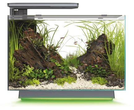 Акваріум скляний - Superfish Quadro 70 Multi Colour BLACK (A4052235)