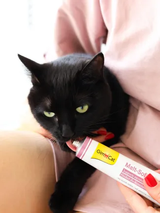 Паста GimCat Every Day Malt-Soft Paste Extra для котів, виведення шерсті зі шлунку, 50 г — Фото 5