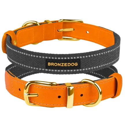 Нашийник для Собак Bronzedog Сotton Рефлекторний х/б+шкіра з Ремінною Пряжкою Графіт M