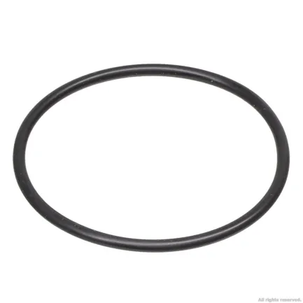 Ущільнююче кільце для Eheim universal/Professionel 3e 450/600/700 (1250, 2076/78) (7221058) — Фото 1
