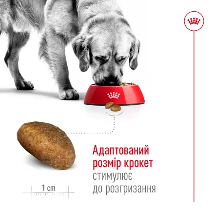 Сухий корм Royal Canin MAXI ADULT 5+ для собак зрілого віку великих порід 15 кг — Фото 3