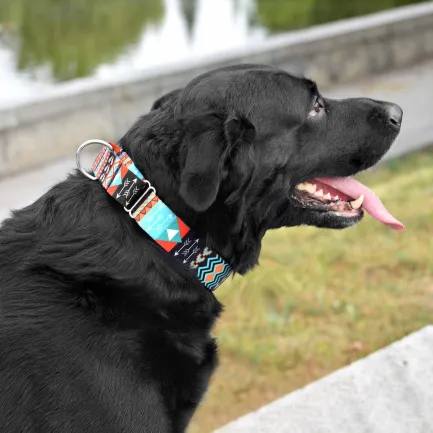 Нашийник для Собак Мартінґейл BronzeDog Urban Нейлоновий з Металевою Фурнітурою Ацтеки XL — Фото 5