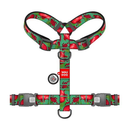 Шлея для собак анатомічна H-подібна WAUDOG Nylon з QR-паспортом, малюнок "Гранати", пластиковий фастекс, XL, Ш 35 мм, A 60-100 см, B 70-100 см — Фото 1
