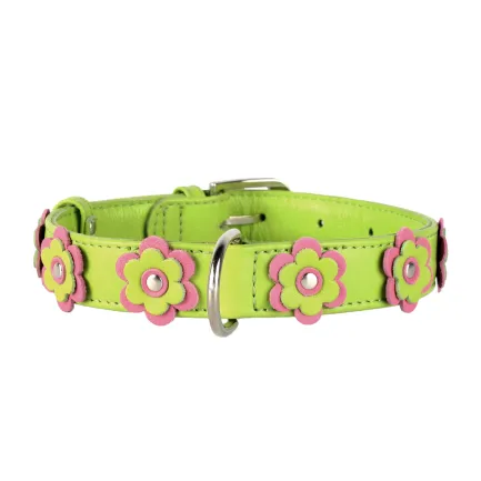 Нашийник "CoLLaR GLAMOUR" з оздобленням "Аплікація" (ширина 25мм, довжина 38-49см) салатовий — Фото 1