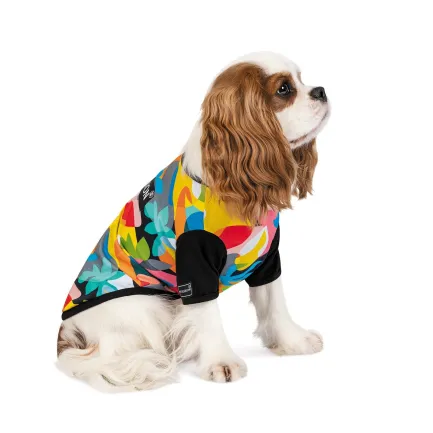 Футболка Pet Fashion «Mood» для собак, розмір XS, з принтом — Фото 1